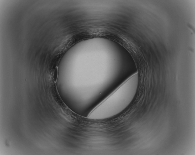 X0000091640601200708230950