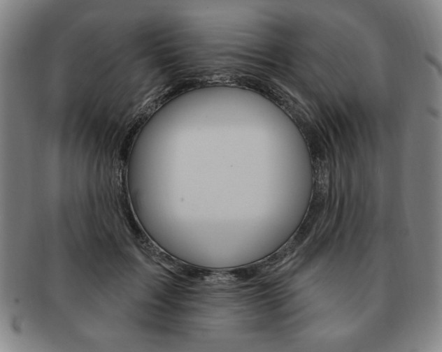 X0000091640603200708230950