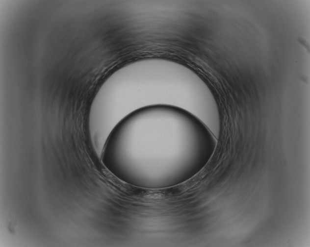 X0000091640604200708230950