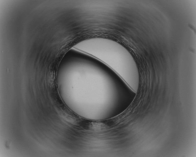 X0000091640605200708230950