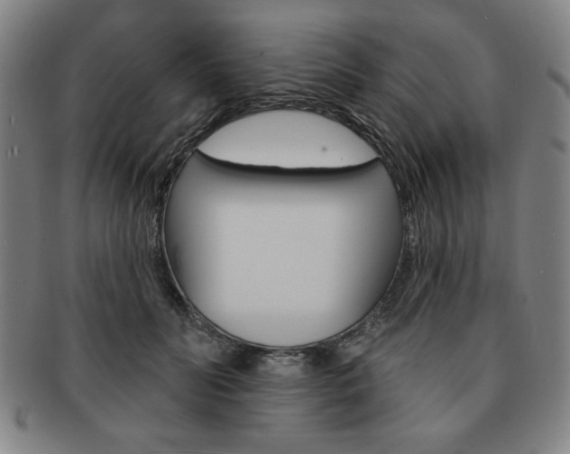 X0000091640606200708230950