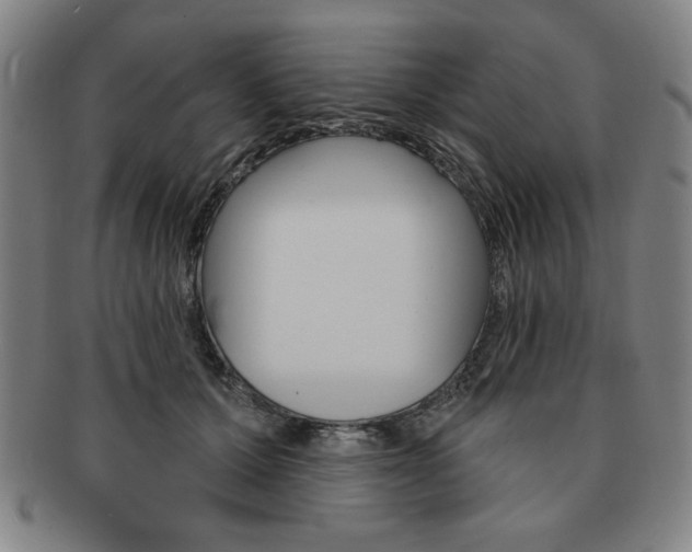 X0000091640607200708230950