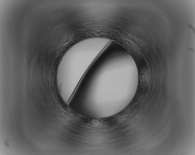 X0000091640608200708230950