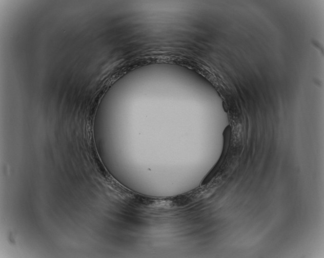 X0000091640609200708230950