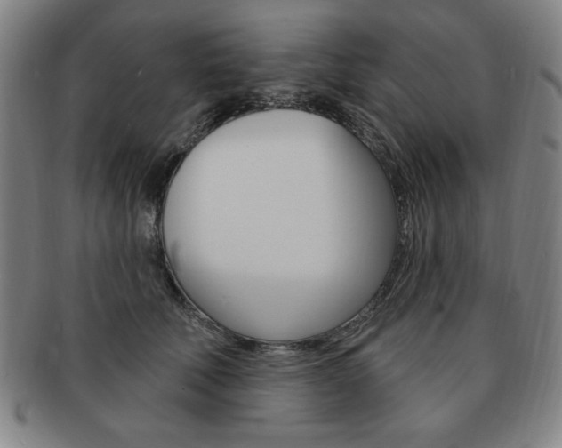 X0000091640610200708230950