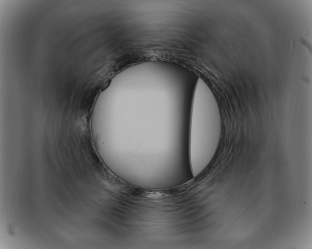 X0000091640611200708230950
