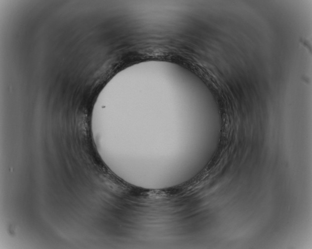 X0000091640612200708230950