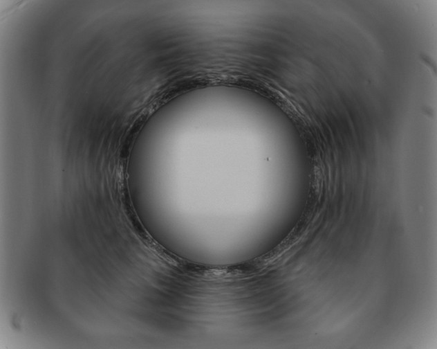 X0000091640613200708230950