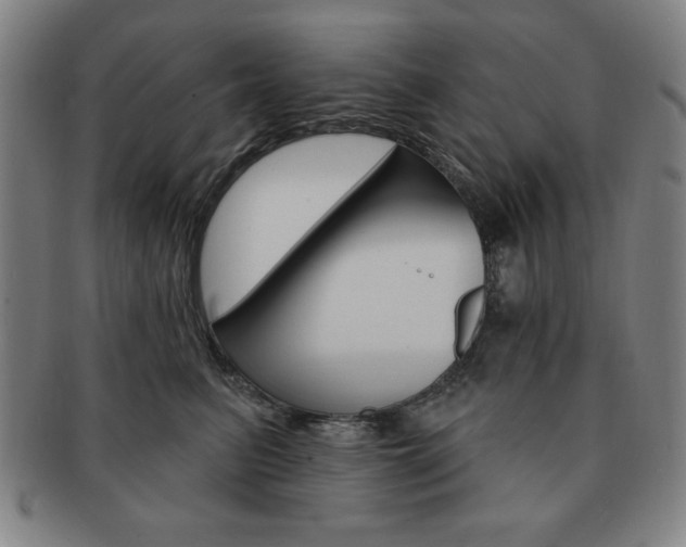 X0000091640615200708230950