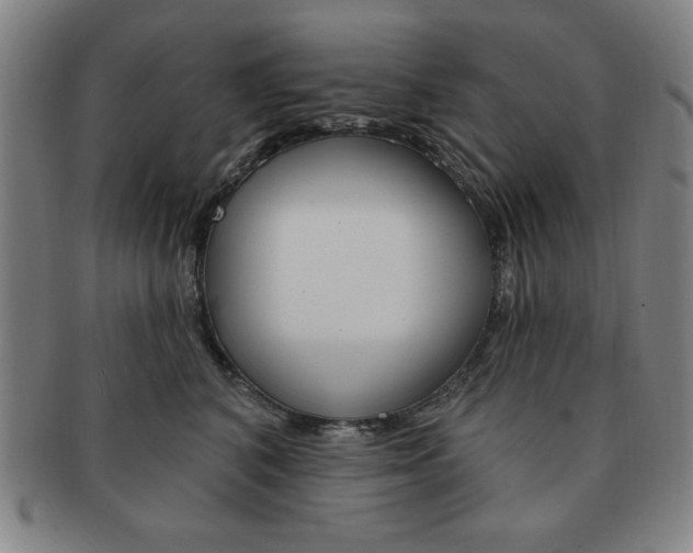 X0000091640616200708230950