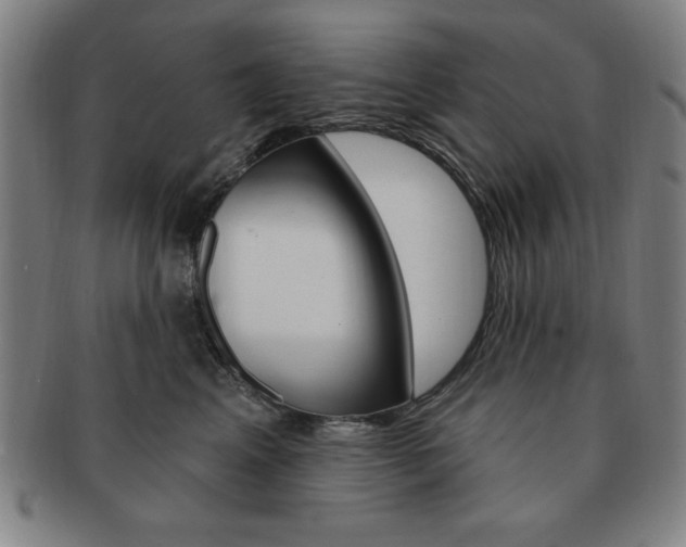 X0000091640617200708230950