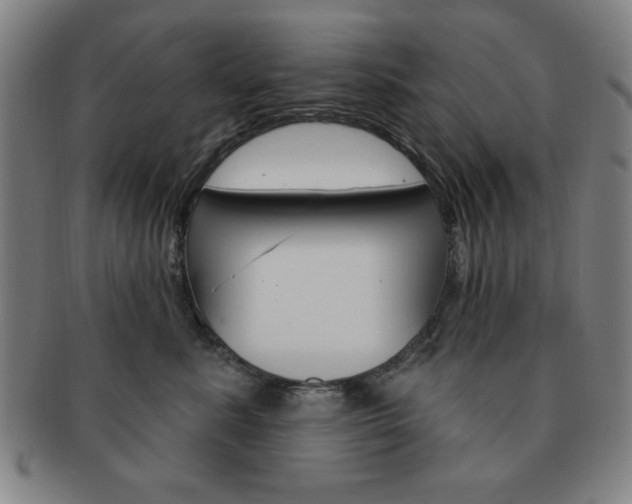 X0000091640619200708230950