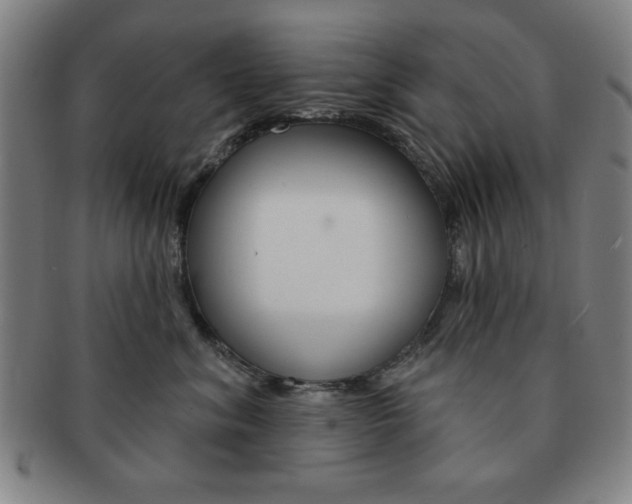 X0000091640620200708230950