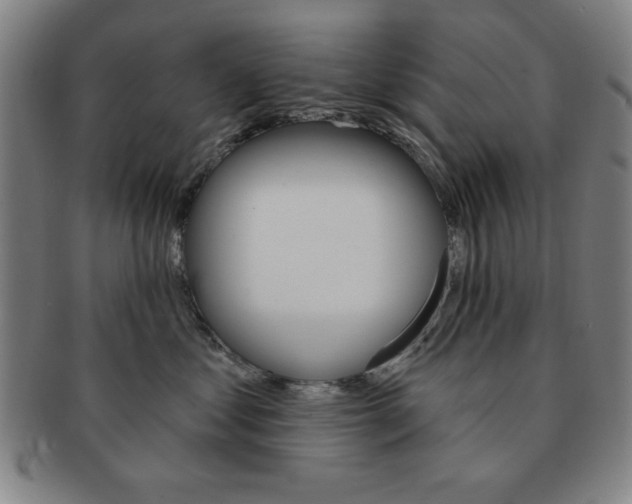 X0000091640621200708230950