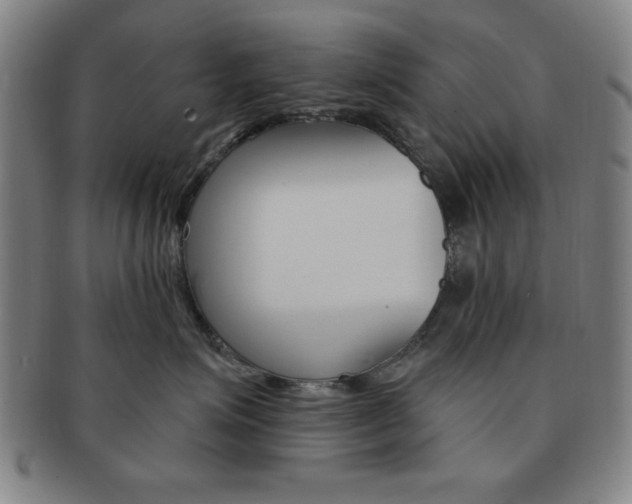 X0000091640623200708230950