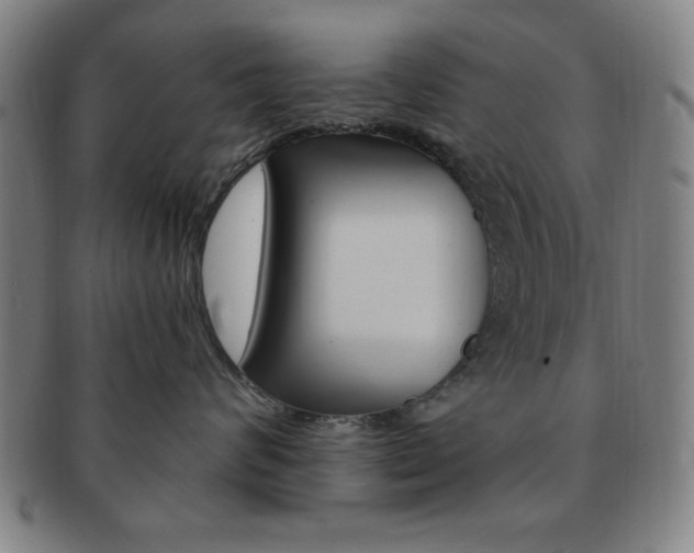 X0000091640624200708230950
