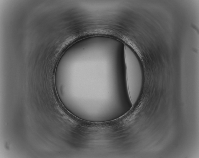 X0000091640625200708230949