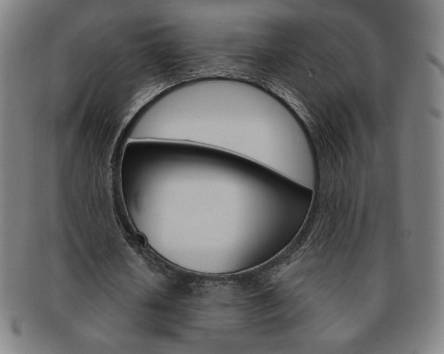 X0000091640626200708230949