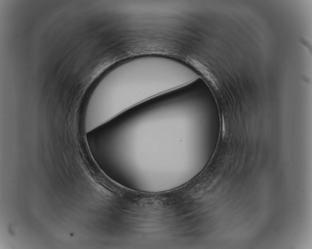 X0000091640627200708230949