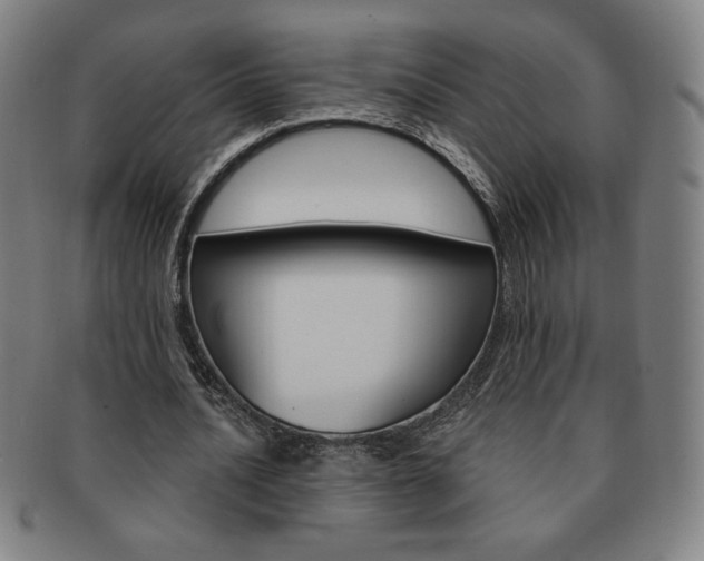 X0000091640628200708230949