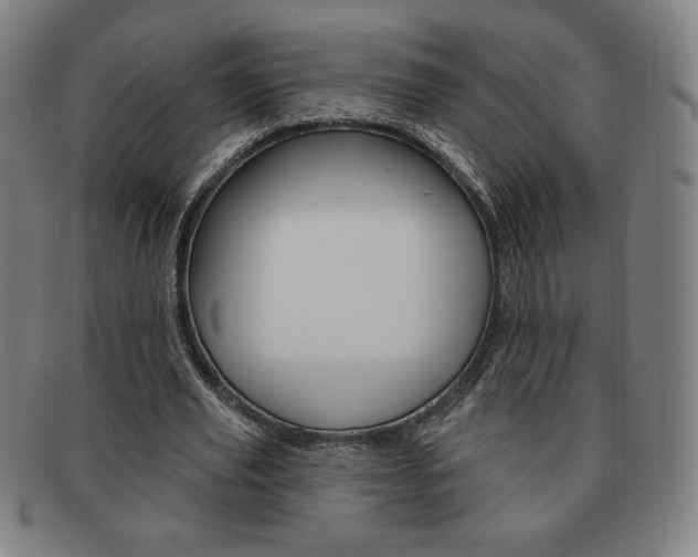 X0000091640629200708230949