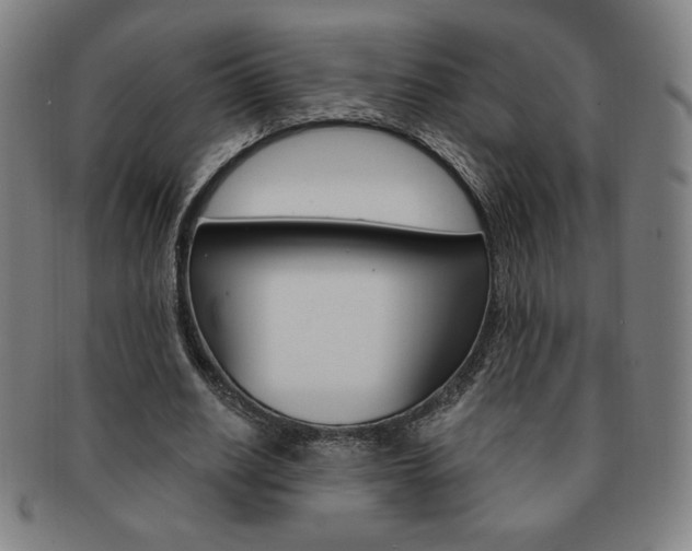 X0000091640630200708230949