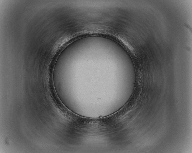 X0000091640631200708230949