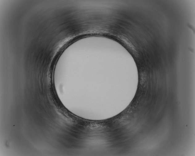 X0000091640632200708230949