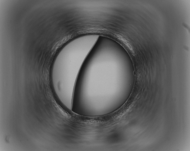 X0000091640633200708230949