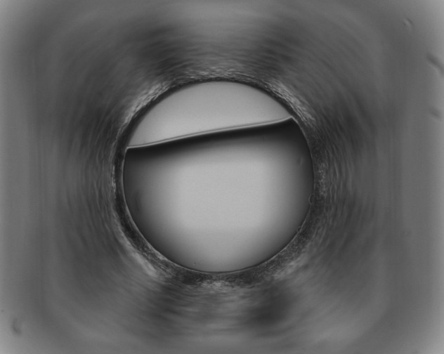 X0000091640634200708230949