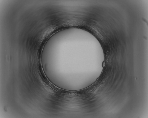 X0000091640635200708230949