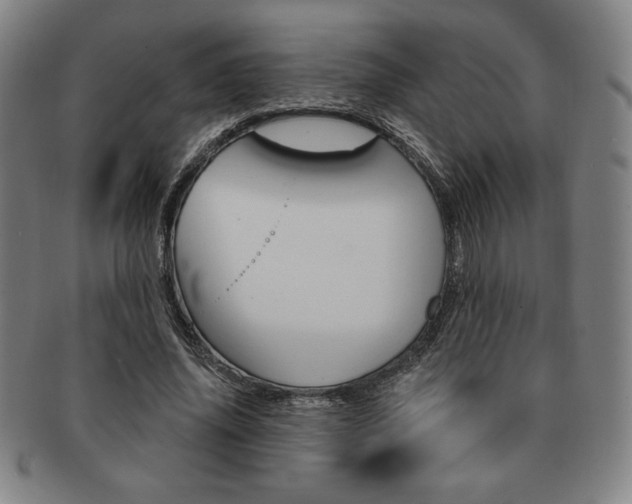 X0000091640636200708230949
