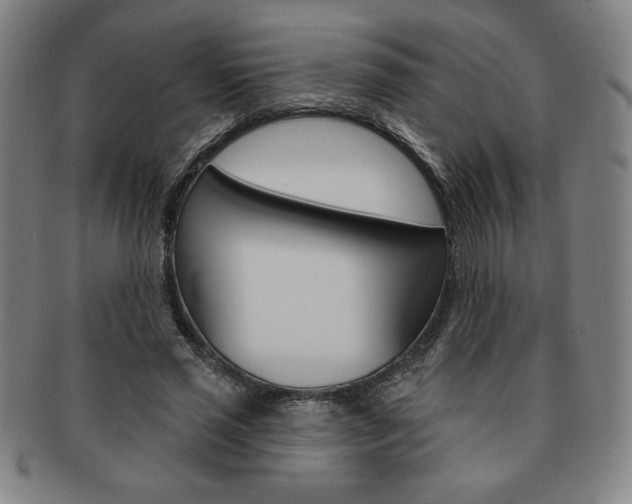 X0000091640637200708230949
