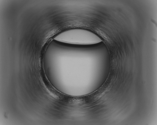X0000091640638200708230949