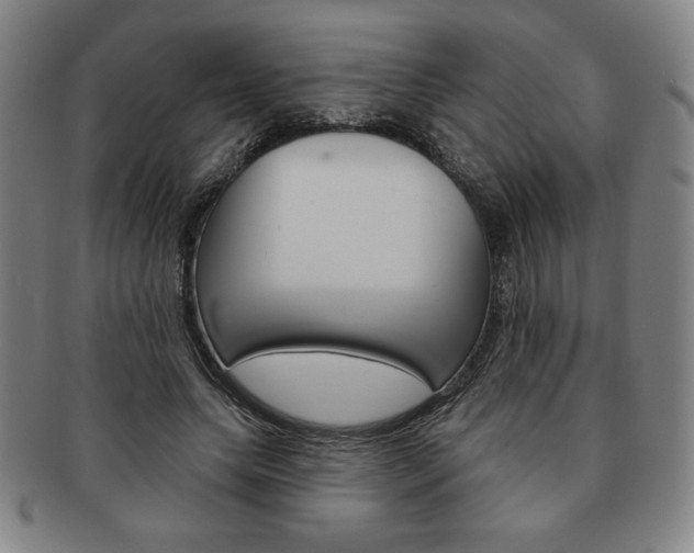 X0000091640639200708230949