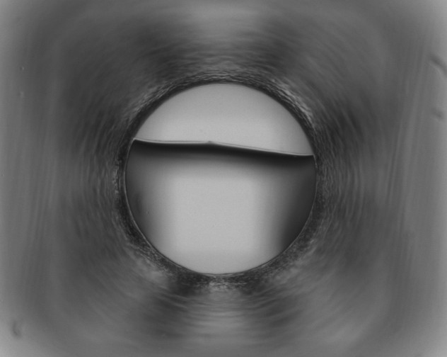 X0000091640641200708230949