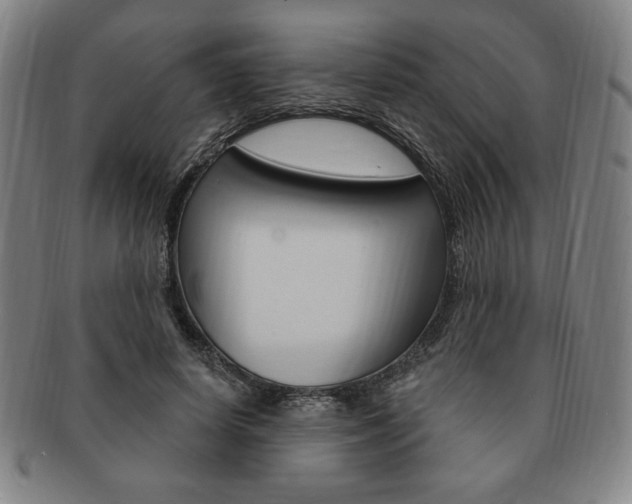 X0000091640642200708230949