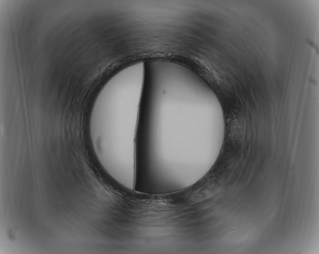 X0000091640643200708230949