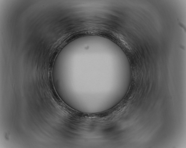 X0000091640645200708230949