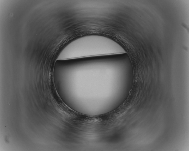 X0000091640646200708230949