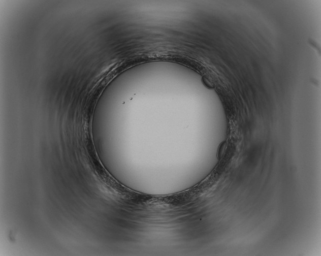 X0000091640648200708230949