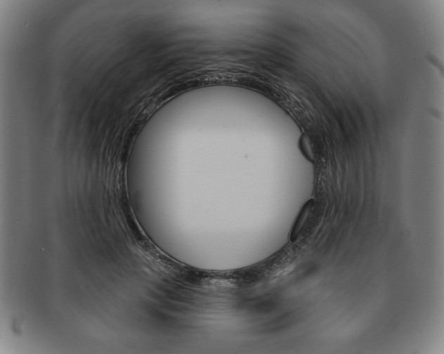 X0000091640649200708230949