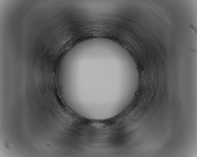 X0000091640650200708230950