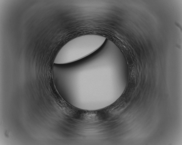 X0000091640651200708230950