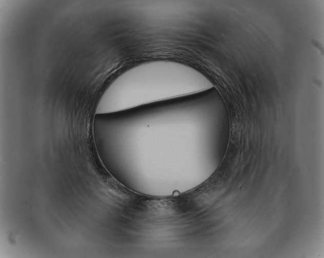 X0000091640652200708230950