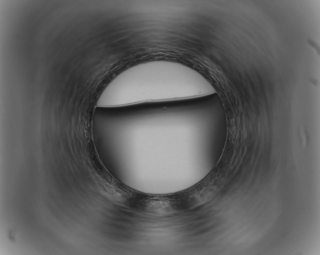 X0000091640653200708230950