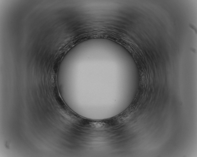 X0000091640654200708230950
