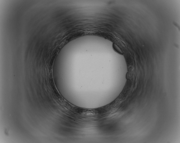 X0000091640655200708230950