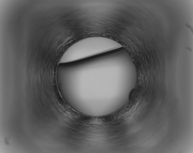 X0000091640656200708230950
