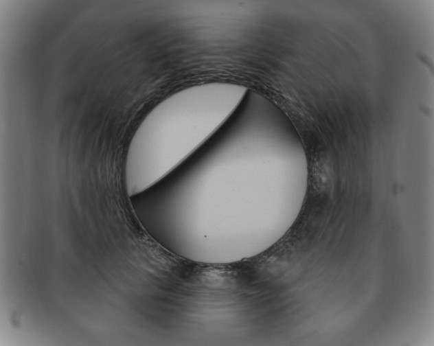 X0000091640657200708230950